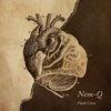 Cover Nem-Q - Fault Lines