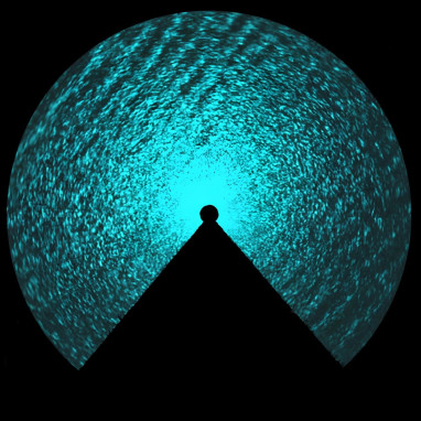 Extensa