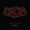 Cover Rebels on the Lose - Rebel Yell