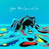 Cover Jape - This Chemical Sea