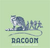 Racoon – Live At Chasse Theater, Breda