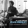 Podiuminfo recensie: Elvis Presley If I Can Dream