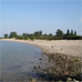 waalstrandnieuws