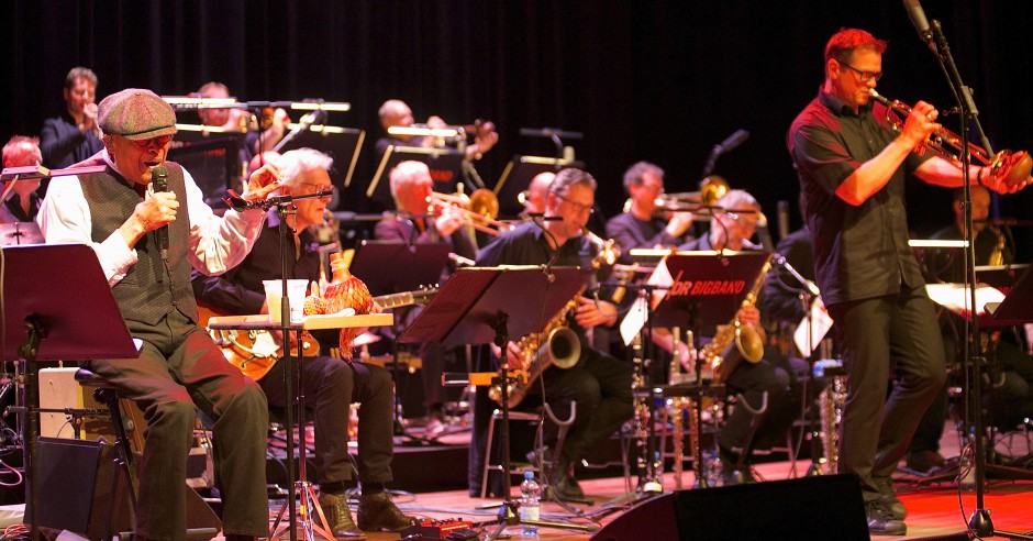 Bekijk de Al Jarreau / NDR Big Band - 27/11 - De Oosterpoort foto's