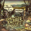 Gangrene Gutter Water cover