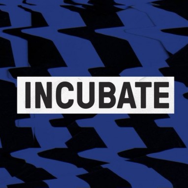 Incubate 2016