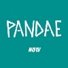 Cover Pandae - NOW
