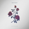 Whitney Light Upon The Lake cover