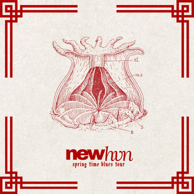 newhvn