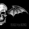 Cover Avenged Sevenfold - Hail to the King
