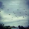 Cover Axis Of - Finding St. Kilda