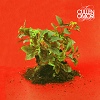 Cover Cullen Omori - New Misery