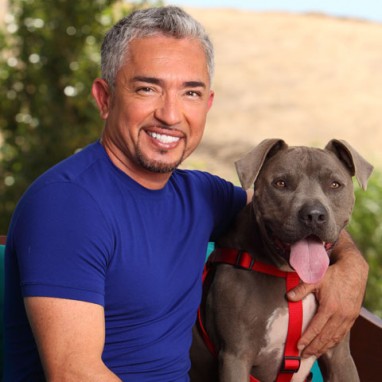 cesar millan