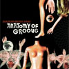 Brazilian Groove Band – Anatomy of love