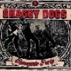Podiuminfo recensie: Shaggy Dogs Renegade party