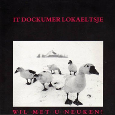 It Dockumer Lokaeltsje