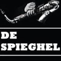 logo De Spieghel Groningen