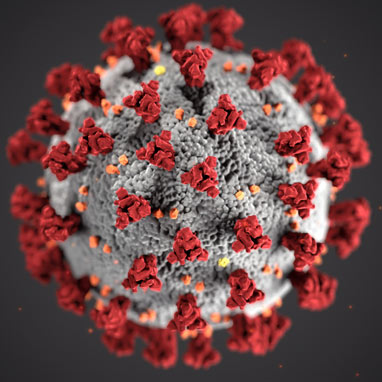 Corona Virus