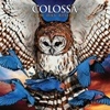 Cover Colossa - New Day Rising