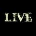 Podiuminfo / Festivalinfo Live Reviews