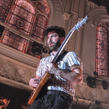 Foals