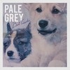 Pale Grey Best Friends cover