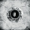 Cover Celestial Wolves - Illusive Landscape Of Expression