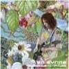 Cover Ed Wynne - Shimmer Into Nature