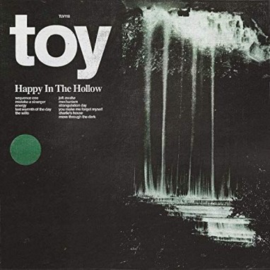 Toy