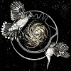Cover Vattnet Viskar - Sky Swallower