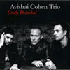 Avishaj Cohen Trio - Gently Disturbed
