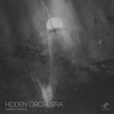 Hidden