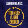 Cover Band of Friends - Too Much Is Not Enough