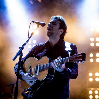 dotan