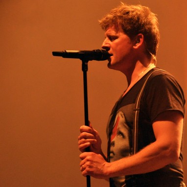 racoon