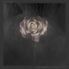 Editors The Weight Of Your Love cover