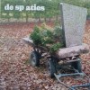 de Sp aties De Sp aties cover