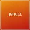 Cover Jungle - Volcano