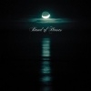 Band of Horses - Cease to begin