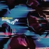Cover Mudhoney - Plastic Eternity
