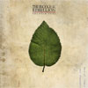 The Boxer Rebellion – The Cold Still