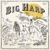 Podiuminfo recensie: Big Harp White Hat