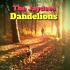 Cover The Jaydees - Dandelions