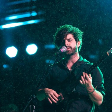 Foals