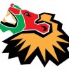 Reggae Lake Festival 2025 logo
