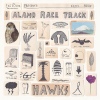 Alamo Race Track Hawks cover