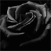 gothicdoomnews.gif