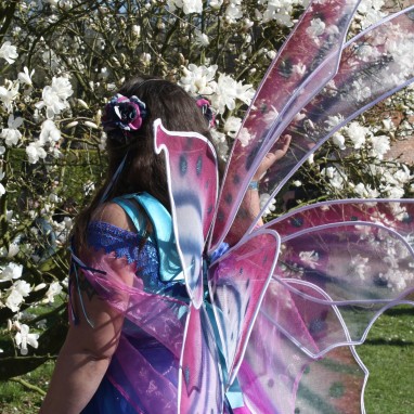 Elf Fantasy Fair