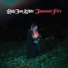 Cover Emily Jane White - Immanent Fire