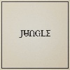 Cover Jungle - Loving In Stereo